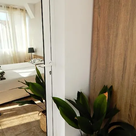 кейт 3*